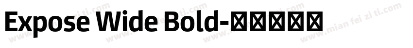 Expose Wide Bold字体转换